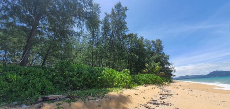 Maikhao Beach huge plot of beach front land for sale