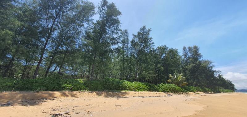 Maikhao Beach huge plot of beach front land for sale